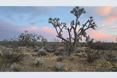 121-16-003 E Octotillo Drive, Yucca, AZ 86438 - Photo 11