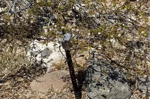 17177 N Mariposa Dr, Dolan Springs, AZ 86441 - Photo 47