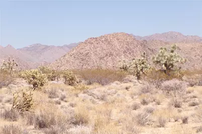 11900 Dateland Road, Yucca, AZ 86438 - Photo 3