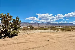 10 E Nims Ln, Meadview, AZ 86444 - Photo 39