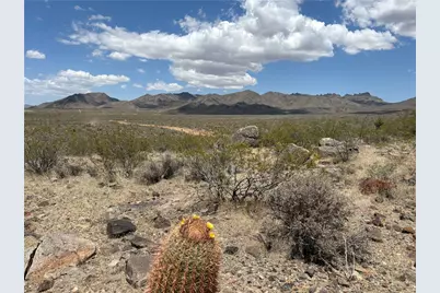 316-05-018 June, Dolan Springs, AZ 86441 - Photo 33