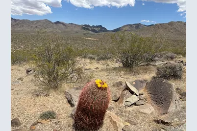 316-05-018 June, Dolan Springs, AZ 86441 - Photo 3