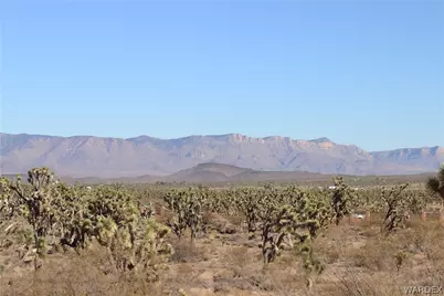 17773 N Lakeside Drive, Dolan Springs, AZ 86441 - Photo 41