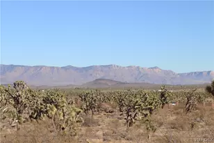 17773 N Lakeside Dr, Dolan Springs, AZ 86441 - Photo 41