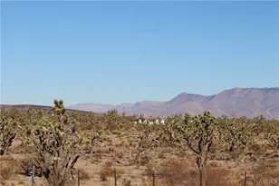 17773 N Lakeside Dr, Dolan Springs, AZ 86441 - Photo 39