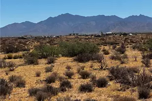 13564 N Aladdin Dr, Dolan Springs, AZ 86441 - Photo 1