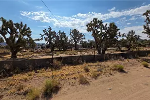 26402 N Peach Ln, Meadview, AZ 86444 - Photo 7