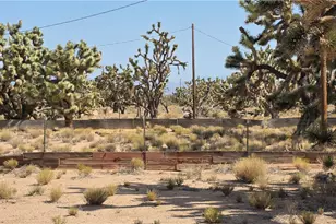 26402 N Peach Ln, Meadview, AZ 86444 - Photo 5