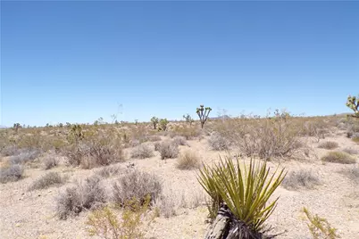 8577 W Indian Peak Drive, White Hills, AZ 86445 - Photo 13