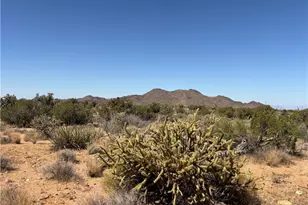 5221 E Crystal Springs Rd, Yucca, AZ 86438 - Photo 27
