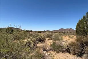 5221 E Crystal Springs Rd, Yucca, AZ 86438 - Photo 23