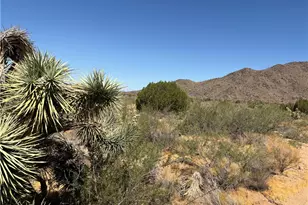 5221 E Crystal Springs Rd, Yucca, AZ 86438 - Photo 11