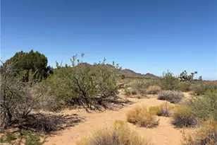 5221 E Crystal Springs Rd, Yucca, AZ 86438 - Photo 29