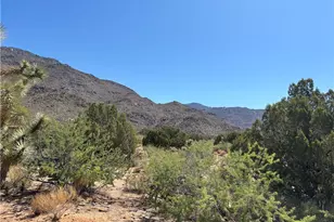 5221 E Crystal Springs Rd, Yucca, AZ 86438 - Photo 13