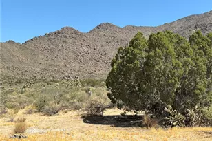 5221 E Crystal Springs Rd, Yucca, AZ 86438 - Photo 3