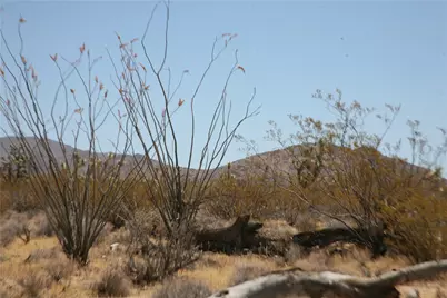 122-10-005 Tortoise Road, Yucca, AZ 86438 - Photo 5