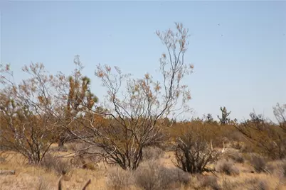 122-10-005 Tortoise Road, Yucca, AZ 86438 - Photo 9