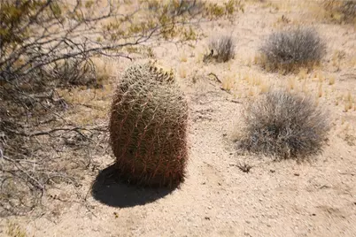 122-10-005 Tortoise Road, Yucca, AZ 86438 - Photo 39