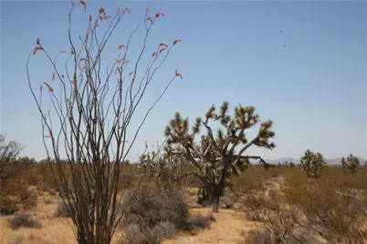 122-10-005 Tortoise Road, Yucca, AZ 86438 - Photo 31