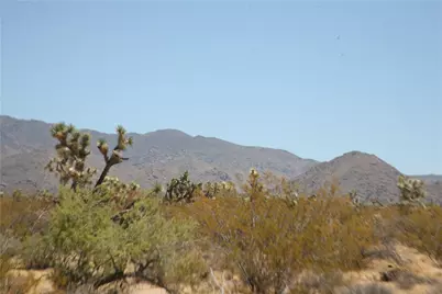 122-10-005 Tortoise Road, Yucca, AZ 86438 - Photo 3