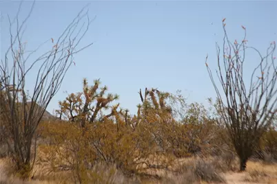 122-10-005 Tortoise Road, Yucca, AZ 86438 - Photo 7