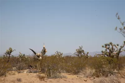 122-10-005 Tortoise Road, Yucca, AZ 86438 - Photo 25