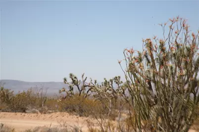 122-10-005 Tortoise Road, Yucca, AZ 86438 - Photo 11