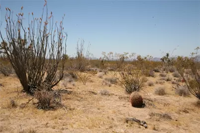 122-10-005 Tortoise Road, Yucca, AZ 86438 - Photo 17