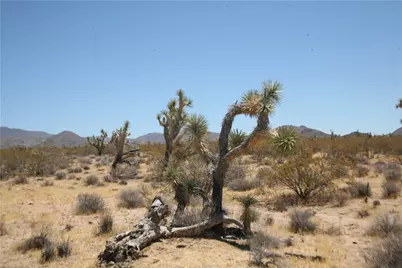 122-10-005 Tortoise Road, Yucca, AZ 86438 - Photo 41