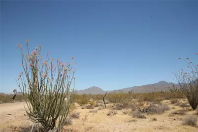 122-10-005 Tortoise Road, Yucca, AZ 86438 - Photo 21