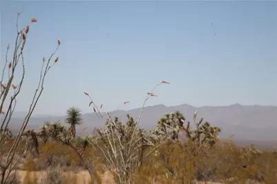 122-10-005 Tortoise Road, Yucca, AZ 86438 - Photo 35