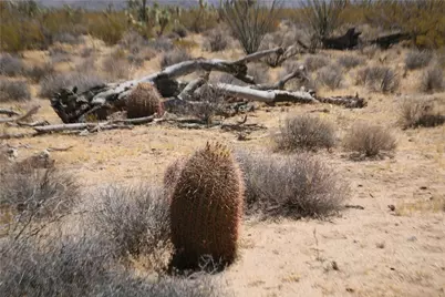 122-10-005 Tortoise Road, Yucca, AZ 86438 - Photo 15