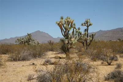 122-10-005 Tortoise Road, Yucca, AZ 86438 - Photo 19