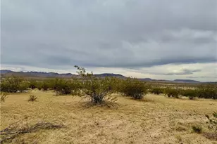 10757 N Sacramento Ln, Dolan Springs, AZ 86441 - Photo 5