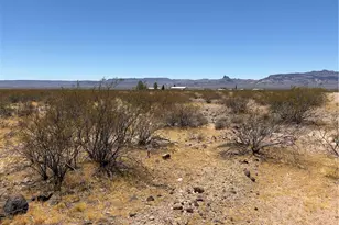 215-14-210 Zentiff Dr, Golden Valley, AZ 86413 - Photo 3