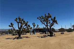 18773 N Queen Dr, Dolan Springs, AZ 86441 - Photo 69