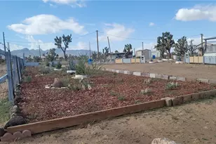 18773 N Queen Dr, Dolan Springs, AZ 86441 - Photo 47