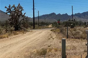 18773 N Queen Dr, Dolan Springs, AZ 86441 - Photo 67