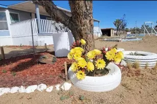 18773 N Queen Dr, Dolan Springs, AZ 86441 - Photo 45