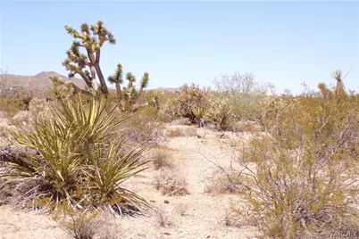 337-05-086 Emery Falls Drive, Meadview, AZ 86444 - Photo 21