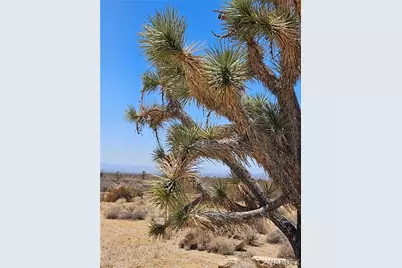 3255 S Arapaho Drive, Yucca, AZ 86438 - Photo 3