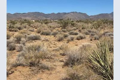 310-02-053C Calle Dimas, Kingman, AZ 86401 - Photo 7