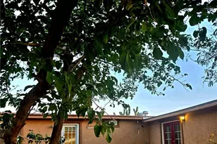 18177 N Peach Dr, Dolan Springs, AZ 86441 - Photo 27