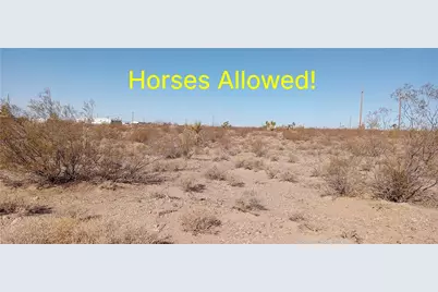 317-38-177S W Broken Bow Dr Drive, White Hills, AZ 86445 - Photo 5