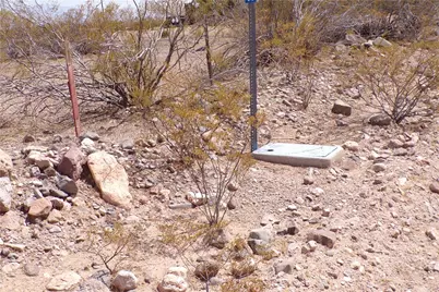 4554 N Elfrida Road, Golden Valley, AZ 86413 - Photo 3