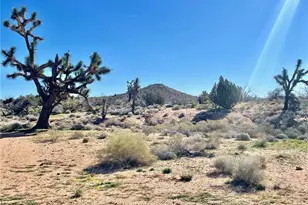 21422 S Appaloosa Rd, Yucca, AZ 86438 - Photo 67