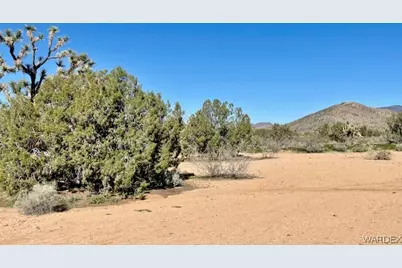 21422 S Appaloosa Road, Yucca, AZ 86438 - Photo 63