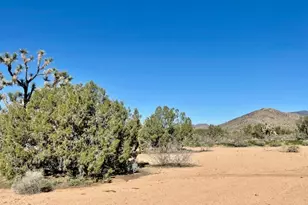 21422 S Appaloosa Rd, Yucca, AZ 86438 - Photo 63