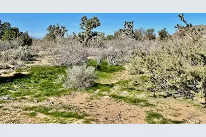 21422 S Appaloosa Road, Yucca, AZ 86438 - Photo 65