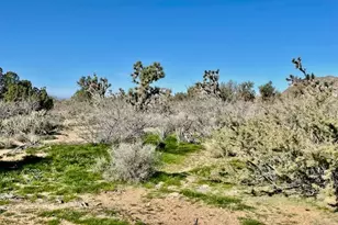 21422 S Appaloosa Rd, Yucca, AZ 86438 - Photo 65